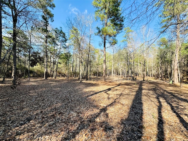 Listing photo 2 for LOT13A Texas Grand Rd, Huntsville TX 77340