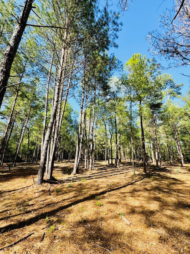 Listing photo 3 for LOT13A Texas Grand Rd, Huntsville TX 77340