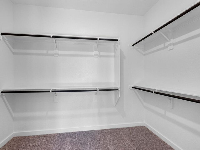 spacious closet with carpet floors