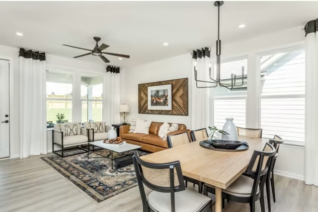 dining space with plenty of natural light, ceiling fan with notable chandelier, and light wood-type flooring