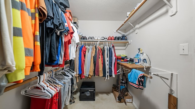 spacious closet featuring light colored carpet