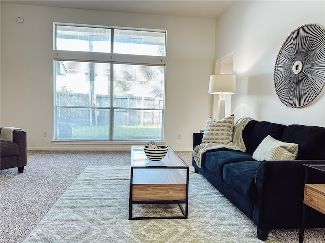 living room featuring carpet