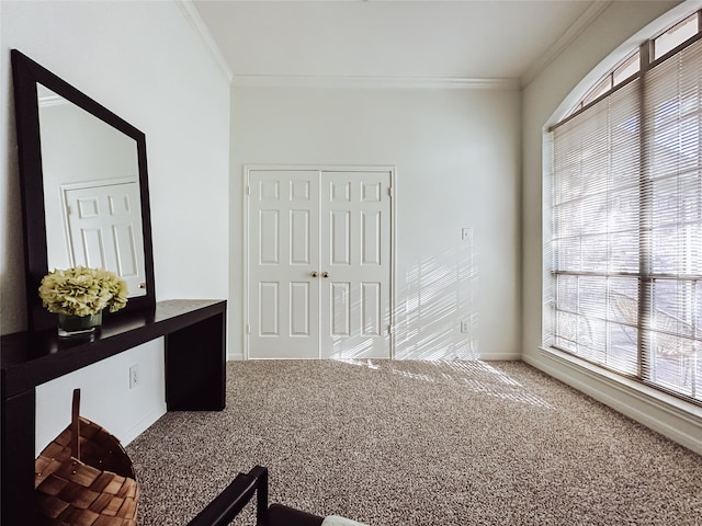 interior space with carpet floors and crown molding