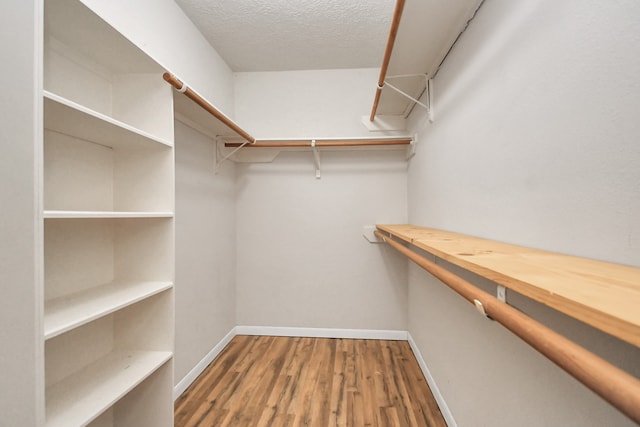 walk in closet featuring wood-type flooring