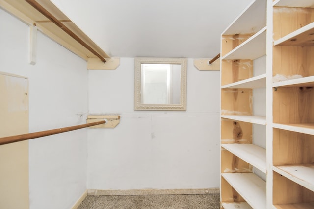 spacious closet with carpet