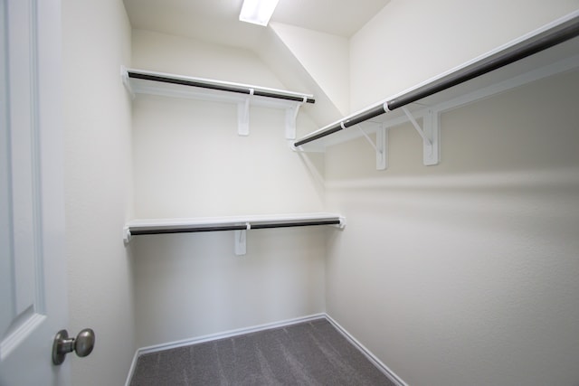 walk in closet with dark colored carpet