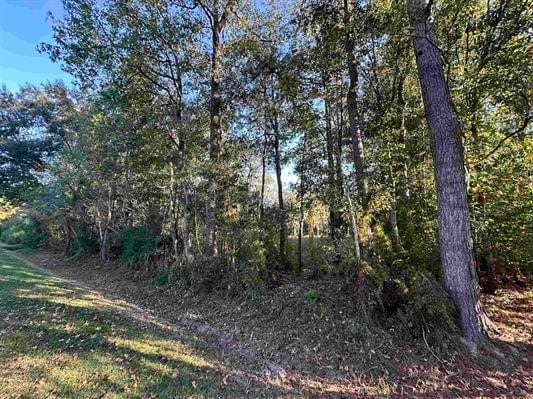 1120 Lyndale St, Vidor TX, 77662 land for sale