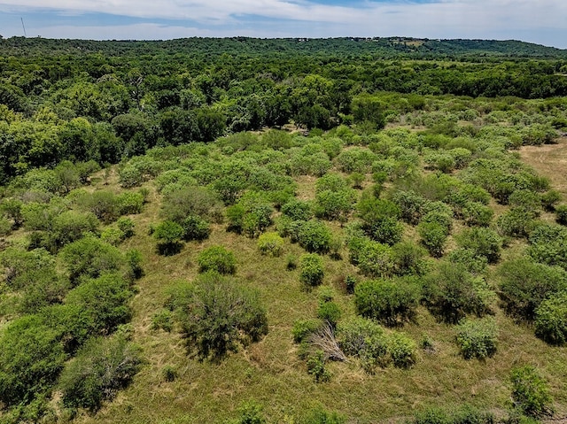 Listing photo 3 for TBD Bending Rd, La Grange TX 78945