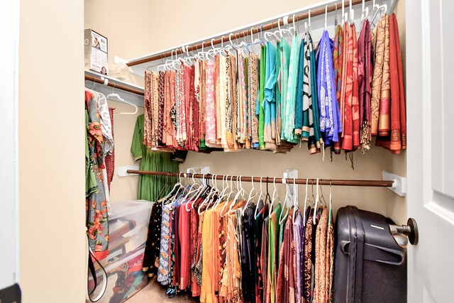 view of walk in closet