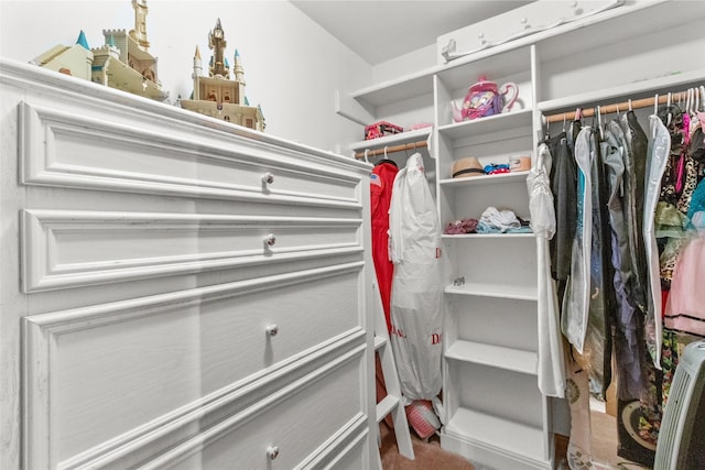 view of walk in closet