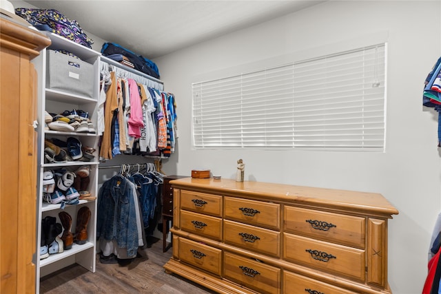 spacious closet with hardwood / wood-style floors