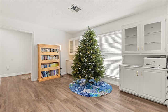 sitting room with a wealth of natural light, light hardwood / wood-style flooring, and a textured ceiling