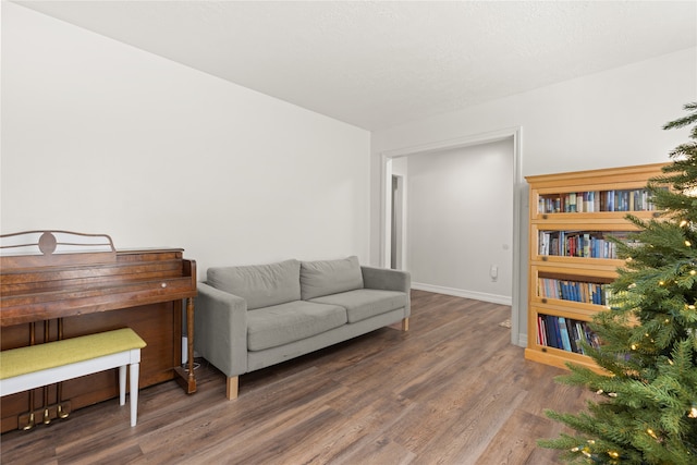 living area featuring dark wood-type flooring