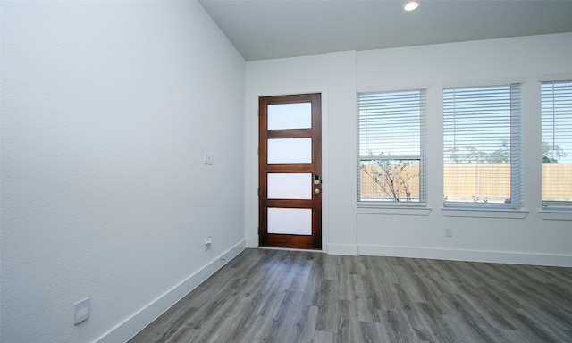 entryway with wood-type flooring