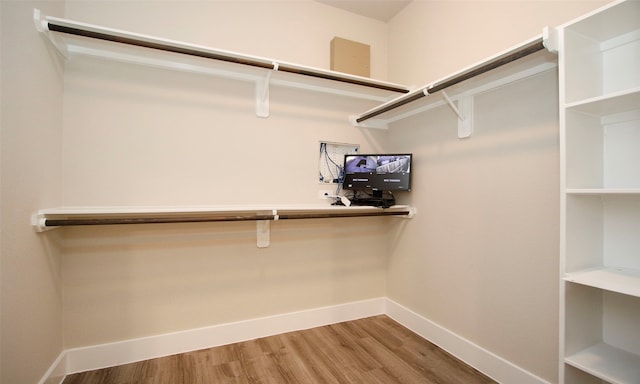 walk in closet featuring wood-type flooring