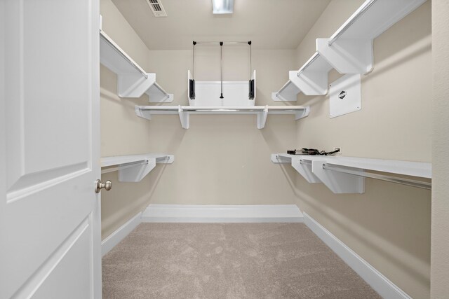 spacious closet featuring light colored carpet