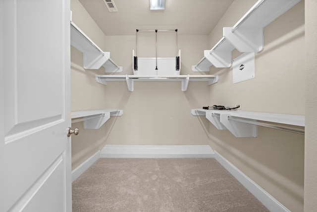 walk in closet with light colored carpet