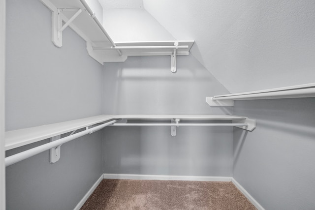 walk in closet featuring carpet and vaulted ceiling