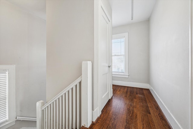 hall featuring dark hardwood / wood-style floors