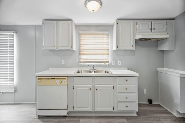 kitchen with white dishwasher, white cabinetry, wood-type flooring, and sink