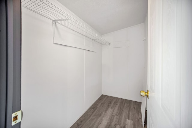 spacious closet with hardwood / wood-style floors