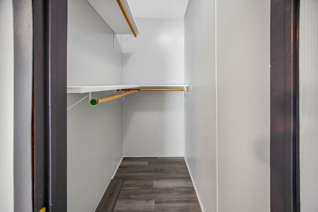 spacious closet featuring dark hardwood / wood-style floors