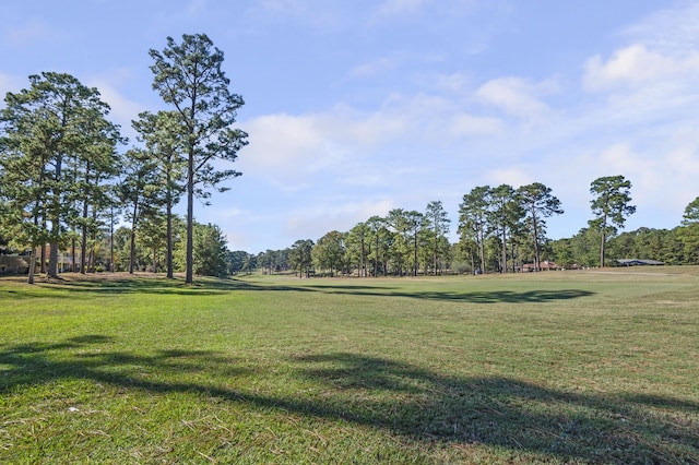 view of home's community with a yard