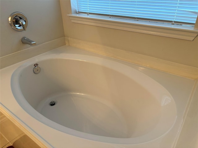 interior details featuring a tub to relax in