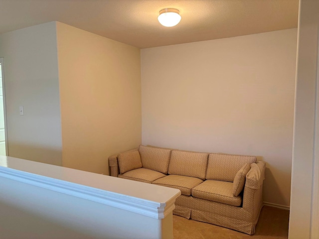 living area with carpet floors