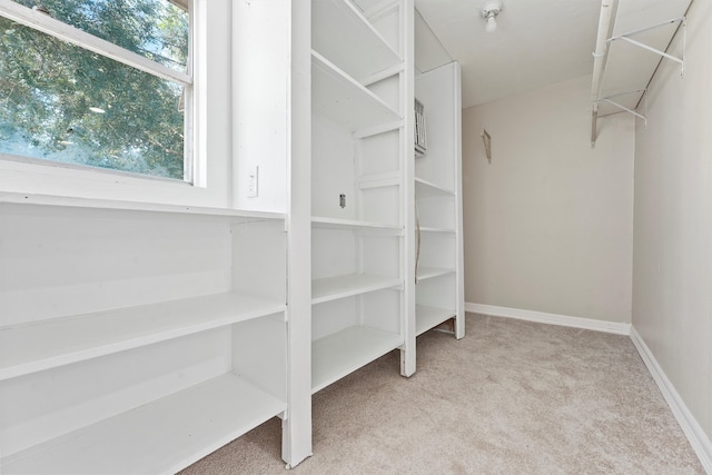 walk in closet with light colored carpet