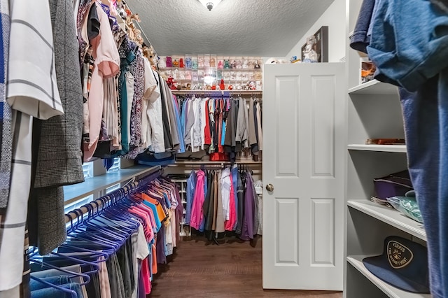 walk in closet featuring hardwood / wood-style flooring