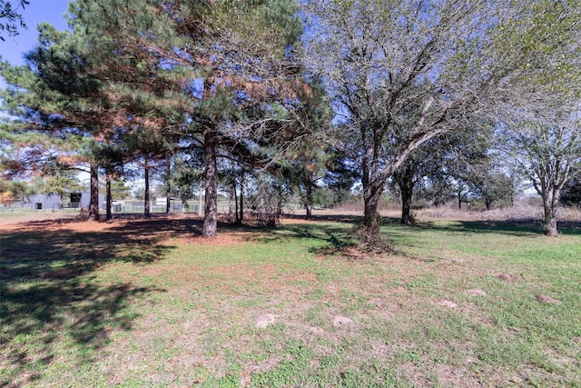 16004 Penick Rd, Waller, TX 77484 - view of green lawn