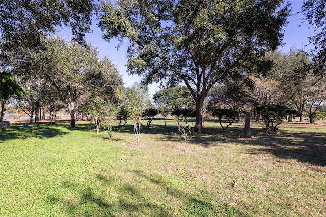 16004 Penick Rd, Waller, TX 77484 - view of grassy yard