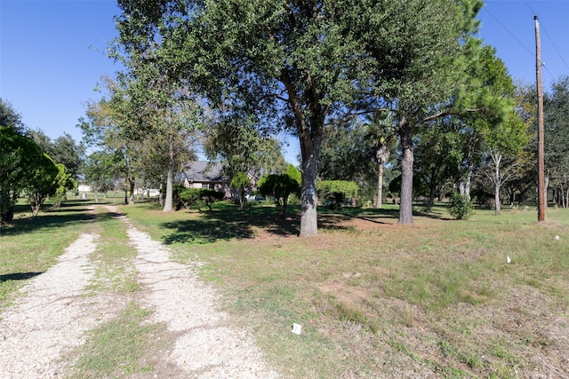 16004 Penick Rd, Waller, TX 77484 - view of dirt / gravel road