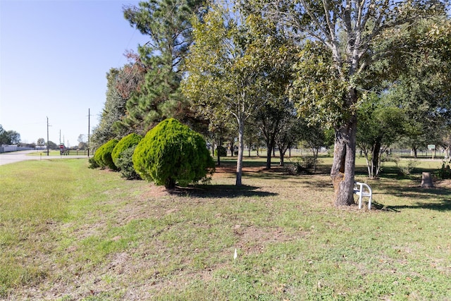 16004 Penick Rd, Waller, TX 77484 - view of grassy yard