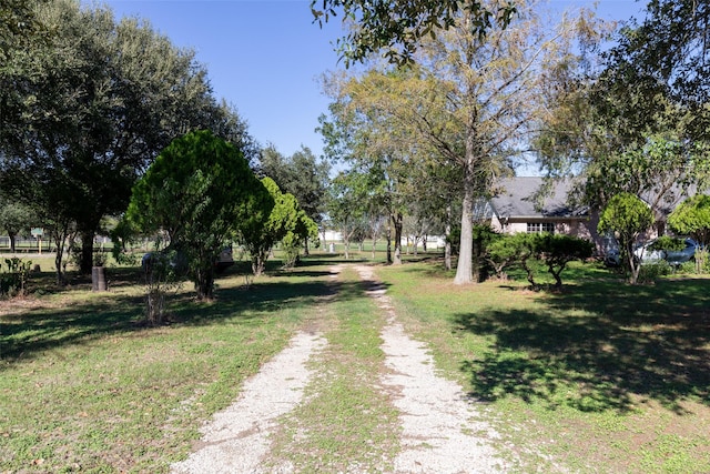 16004 Penick Rd, Waller, TX 77484 - view of dirt / gravel driveway