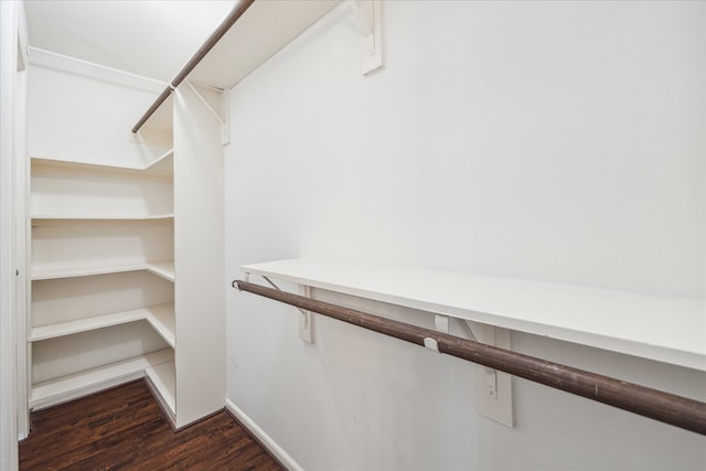 spacious closet featuring dark hardwood / wood-style floors