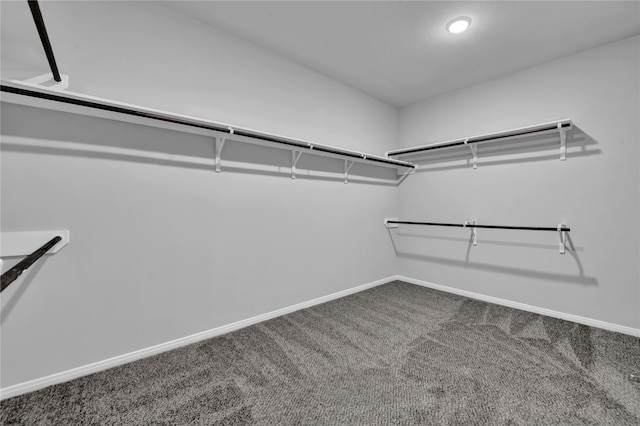 spacious closet featuring carpet floors