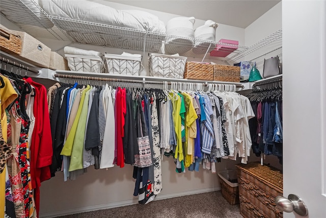 spacious closet featuring carpet