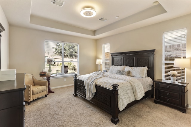 carpeted bedroom featuring a tray ceiling