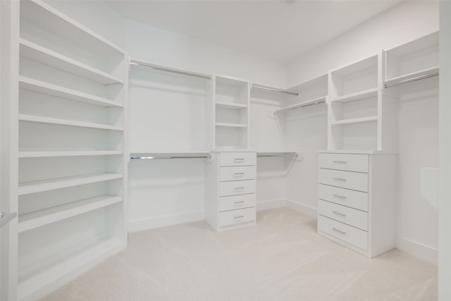 walk in closet featuring light colored carpet