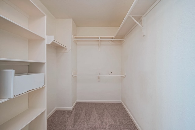 spacious closet with carpet