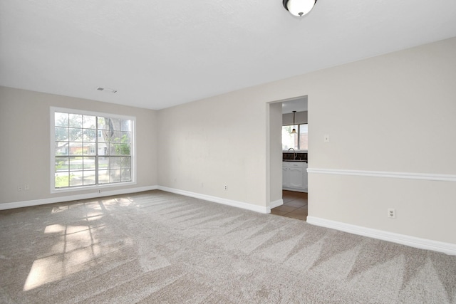 carpeted spare room with a healthy amount of sunlight and sink