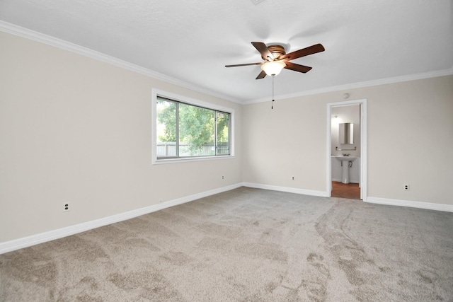 spare room featuring ceiling fan, carpet floors, and crown molding