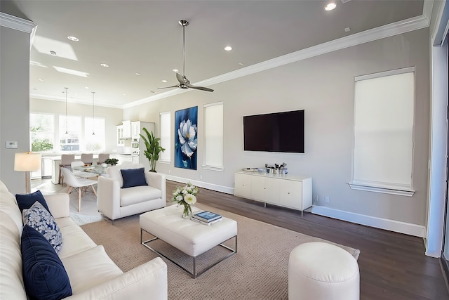 living room with ceiling fan, hardwood / wood-style floors, and ornamental molding