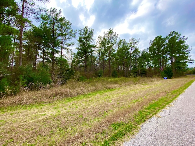 TBD Hilltop Lane, Huntsville TX, 77320 land for sale