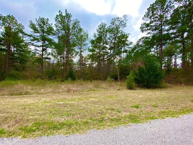 Listing photo 2 for TBD Hilltop Lane, Huntsville TX 77320