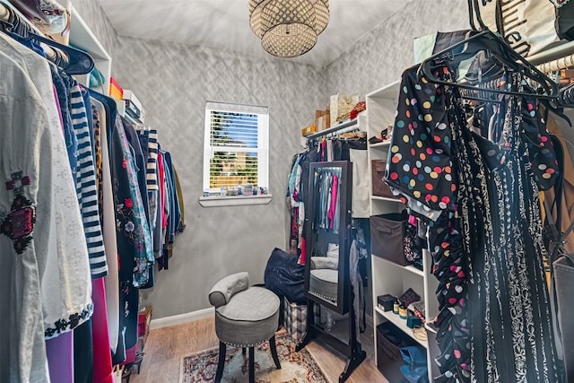 spacious closet with wood-type flooring