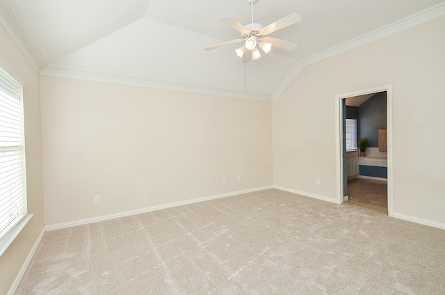 carpeted spare room with ceiling fan, lofted ceiling, and crown molding