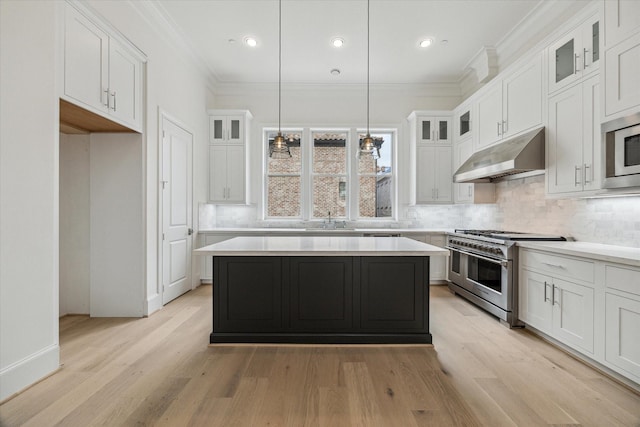 7523 Cuadro Ln, Houston, TX 77055 - kitchen featuring appliances with stainless steel finishes, under cabinet range hood, a sink, tasteful backsplash, and ornamental molding